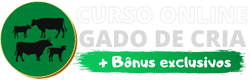 GADO DE CRIA (2) (1)