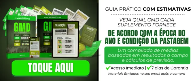 Livro Digital GMD