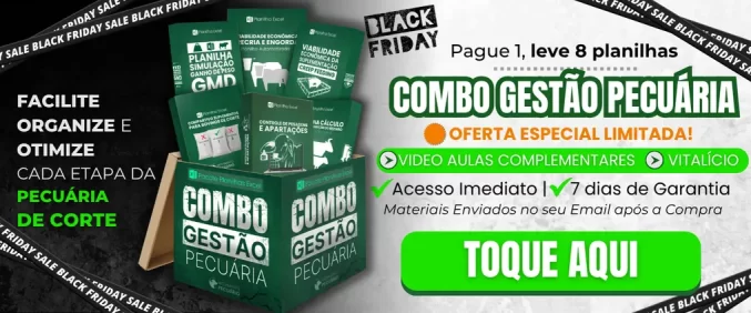 Pacote de Planilhas Gestão Pecuária